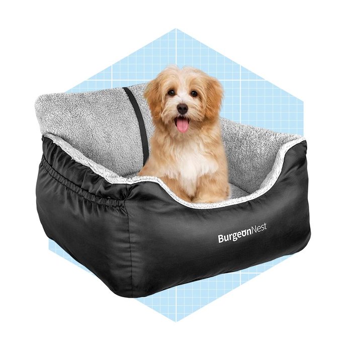 Burgeon Nest