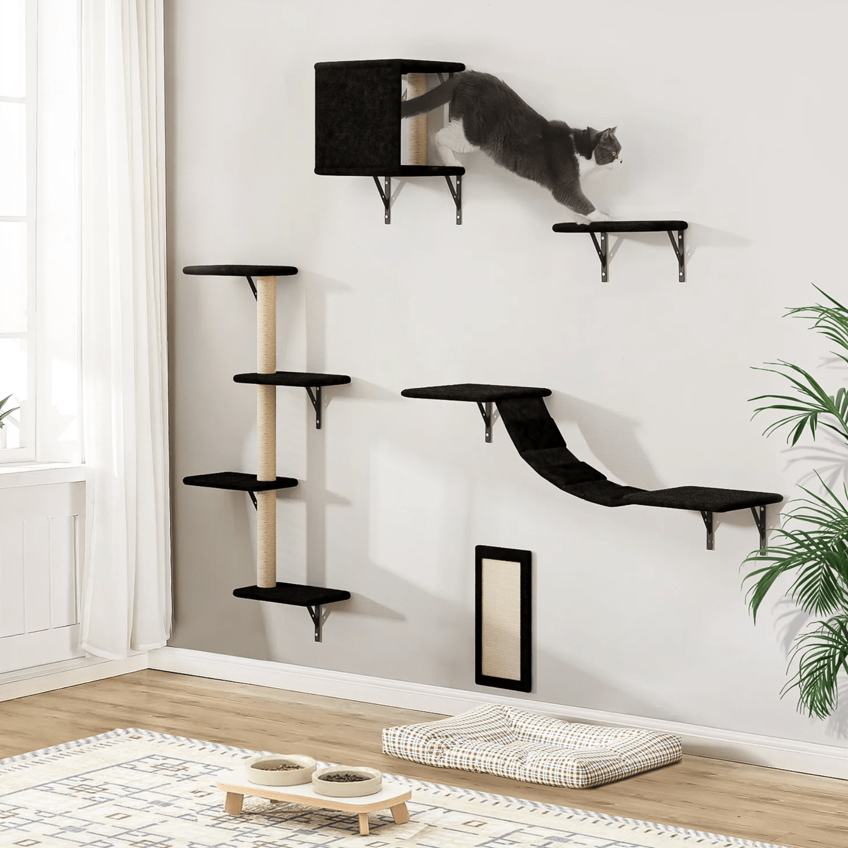 Cat Wall Shelves 