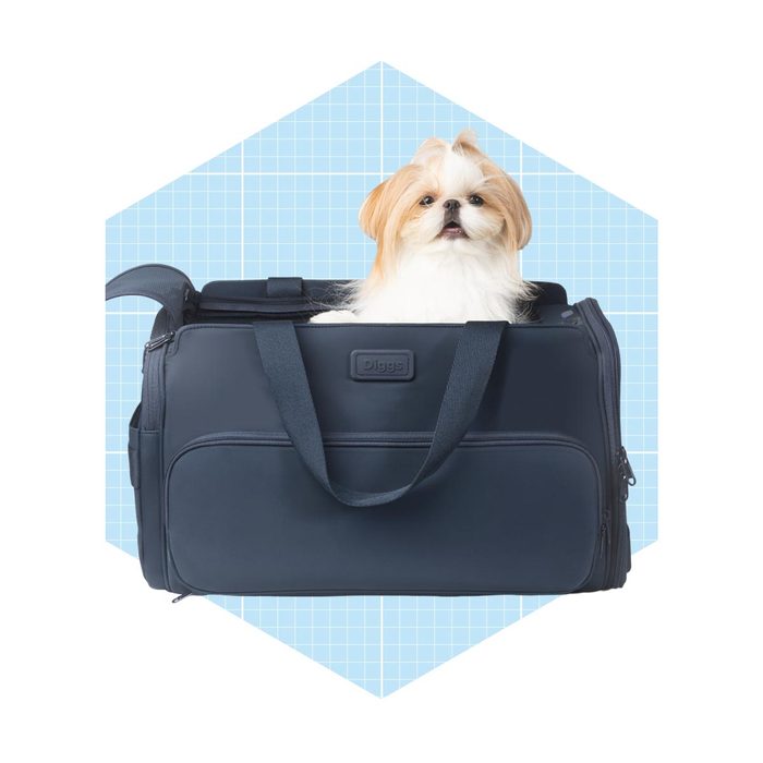 Diggs Passenger Travel Pet Carrier