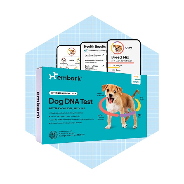 Embark Dog Dna Test