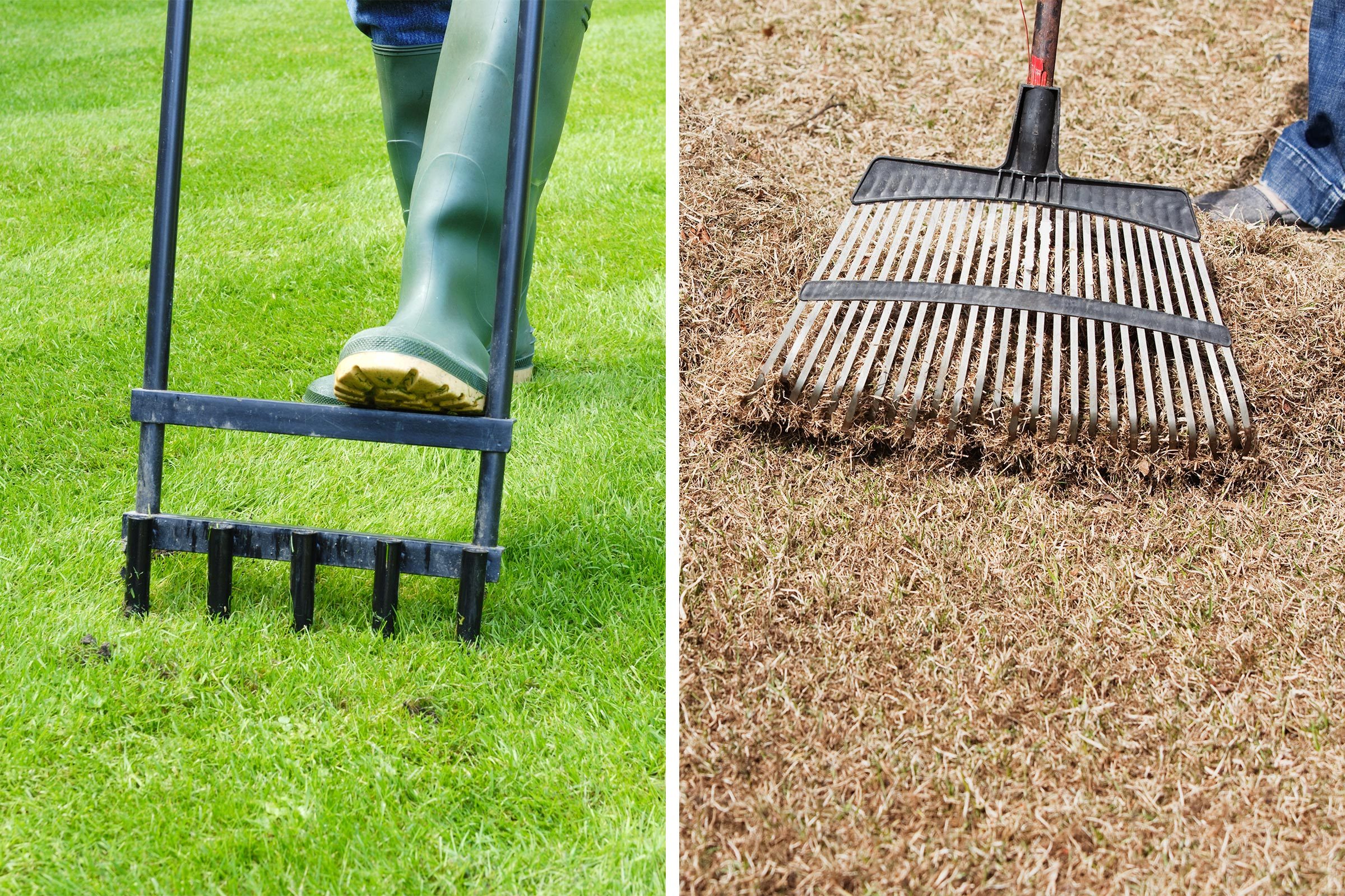 Dethatching vs. Aerating: What’s the Difference?