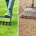 Dethatching vs. Aerating: What's the Difference?