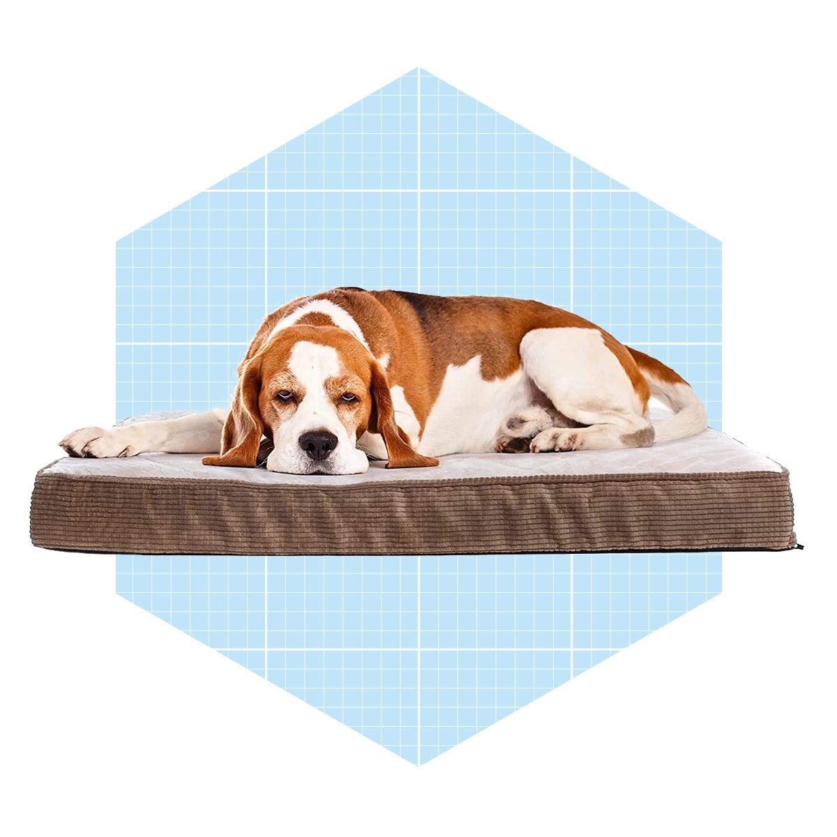 Milliard Quilted Padded Orthopedic Dog Bed