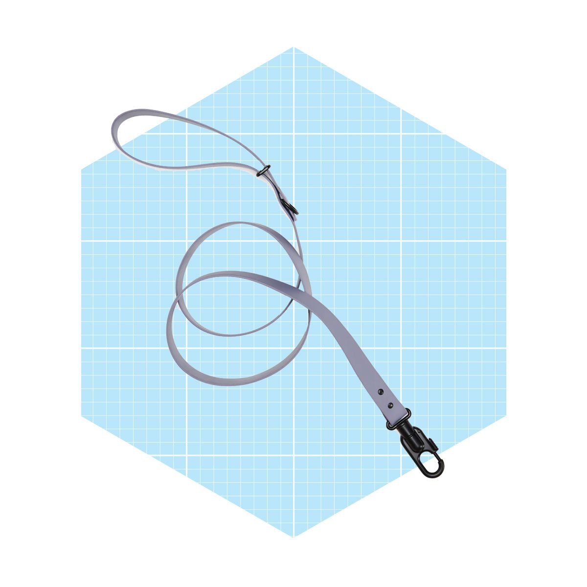 Fable's Signature Leash Ecomm