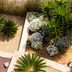 Everything You Ever Wanted to Know About Landscaping Gravel