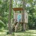 Tips To Make Sure Your Backyard Treehouse Is Safe