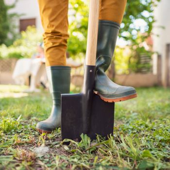 unrecognizable gardener standing in his backyard with shovel pinned to the ground, ready to dig a new garden