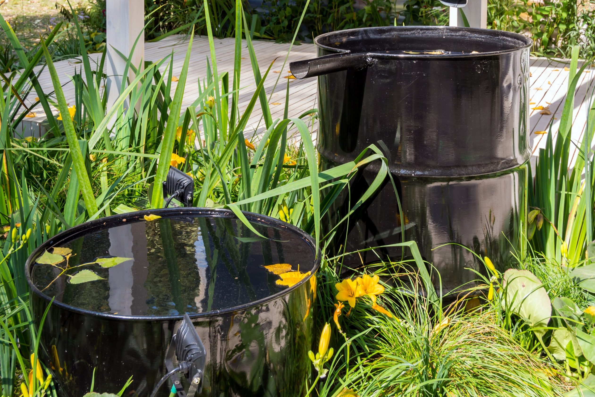 System for collecting rainwater from two barrels with overflow