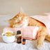 Are There Pet-Safe Essential Oils?