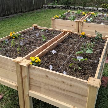 Container gardening