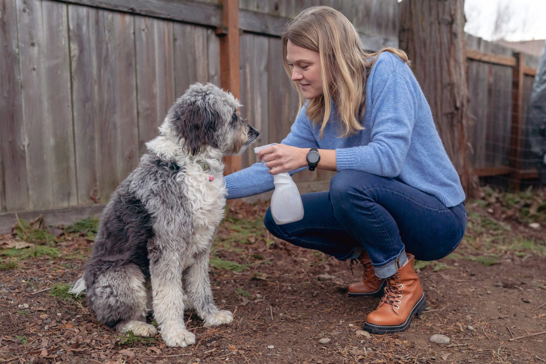 Woman spraying pet dog with ani-tick and flea spray