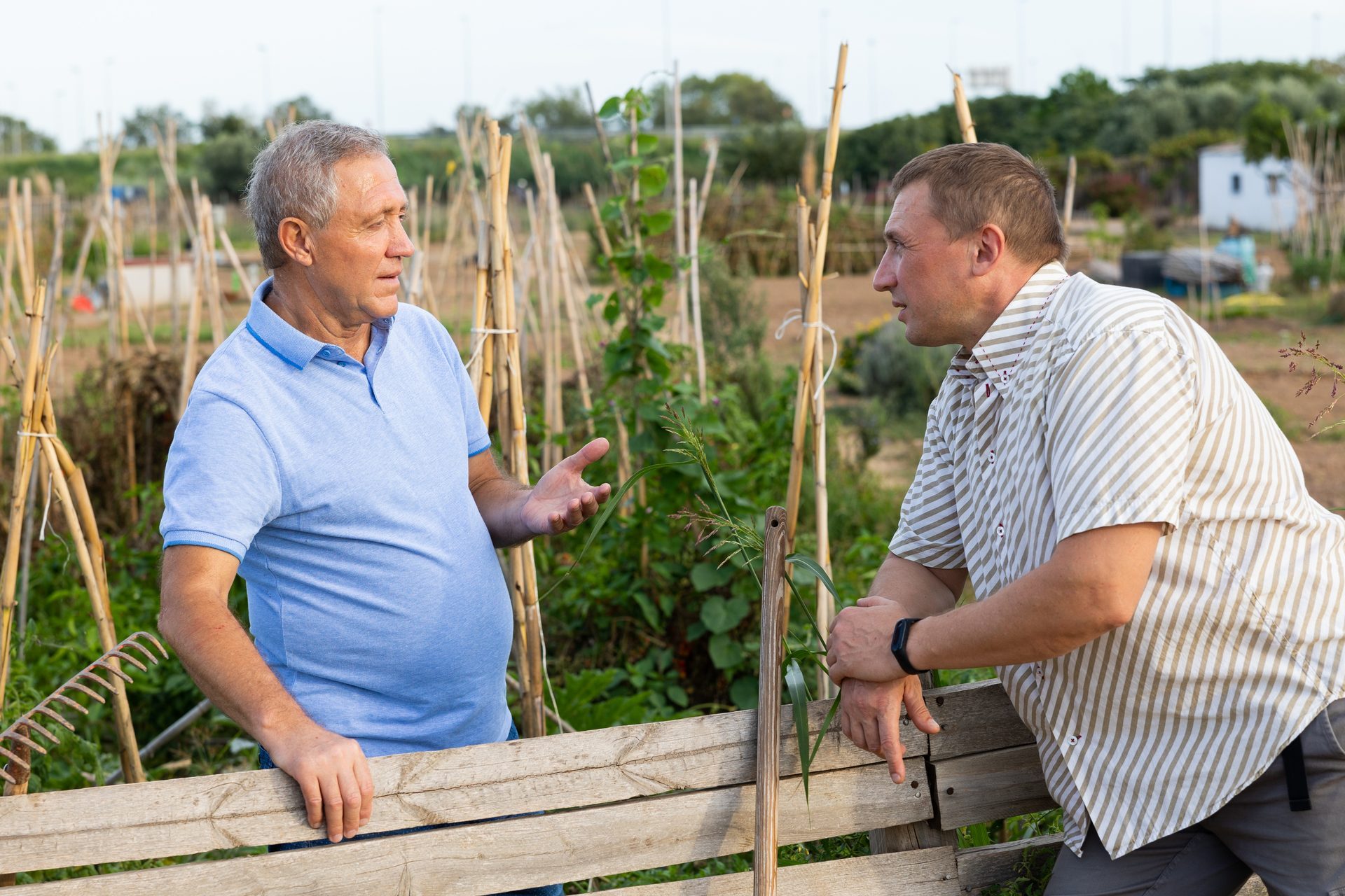 Male neighbors having conversation outdoors