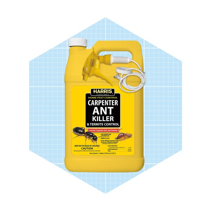 Harris Carpenter Ant Killer & Termite Control Treatment