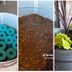 This Pool Noodle Planter Hack Will Keep Your Plants Cool All Summer