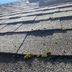 How To Clean Moss Off the Roof