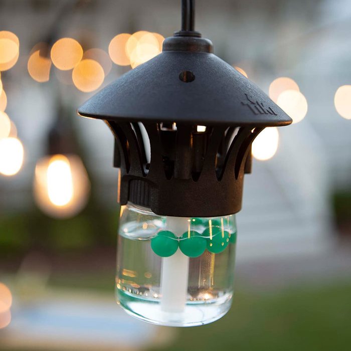 Tiki Bitefighter Led Lights