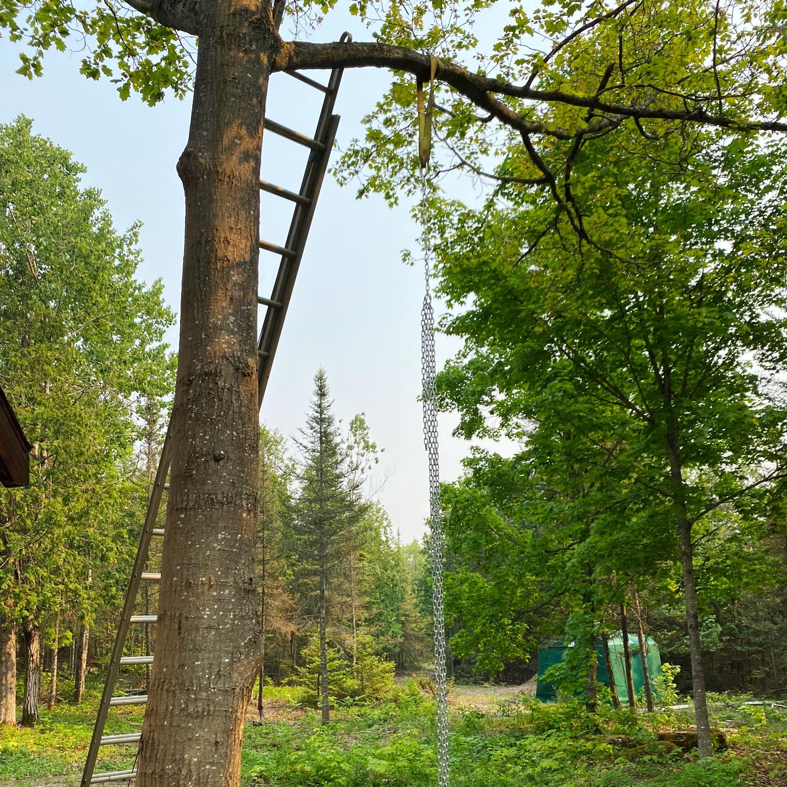 chains attached to the towing strap for a tire swing