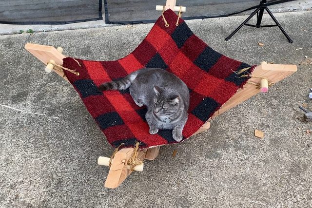 Cat Hammock
