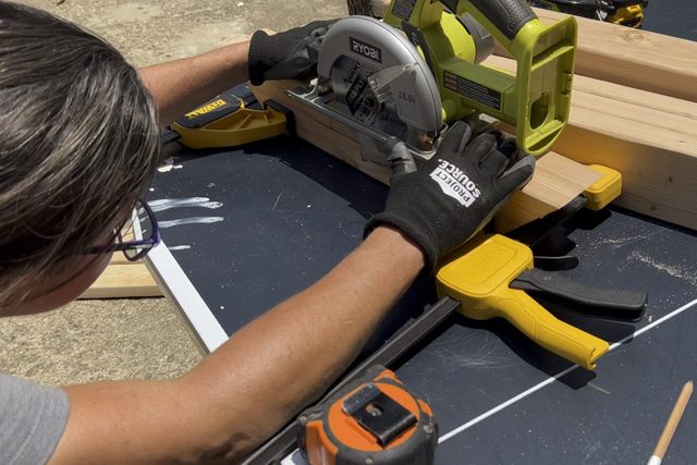 Cat Hammock Set Circular Saw