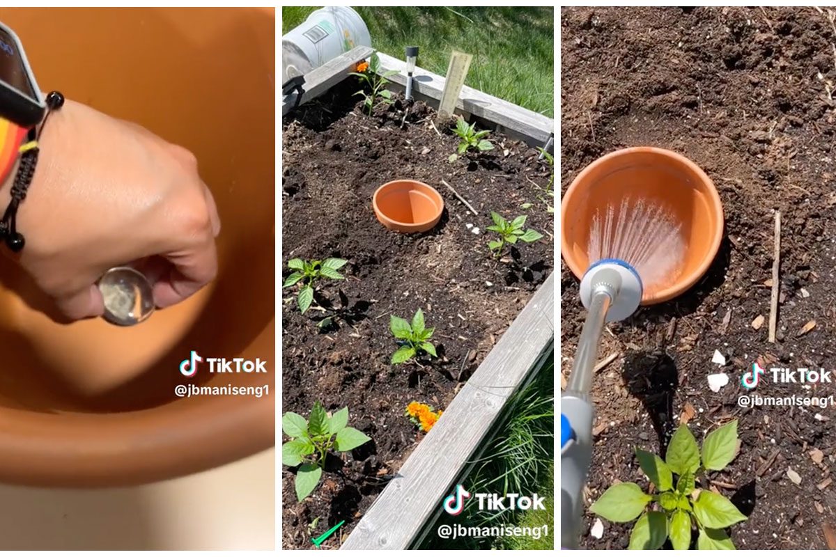 This Easy Self-Watering Hack Will Keep Your Garden Watered All Summer