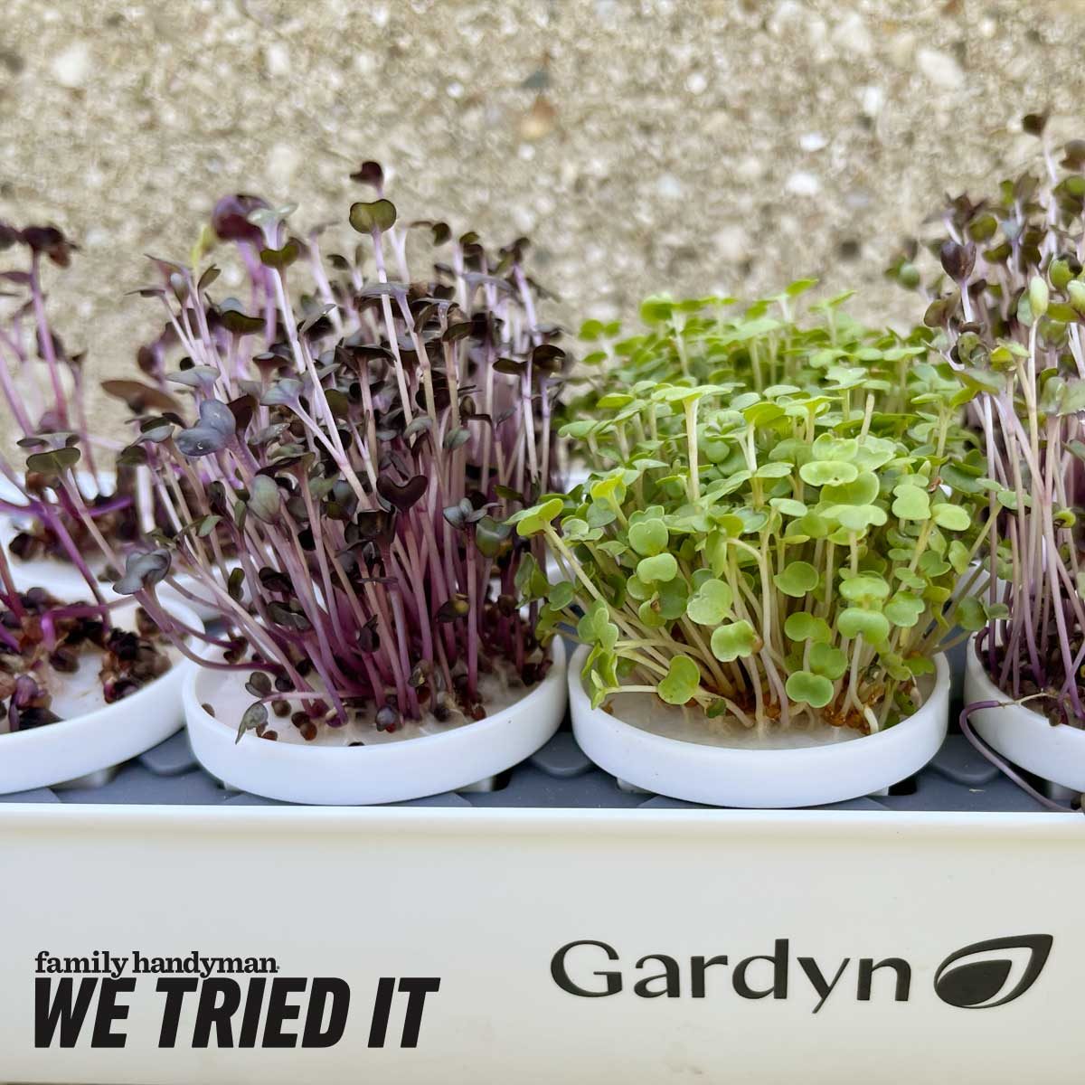 Gardyn Microgreens Growing Kit Review