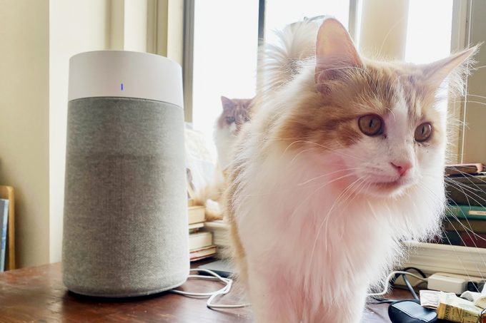 Blueair Air Purifier with pets