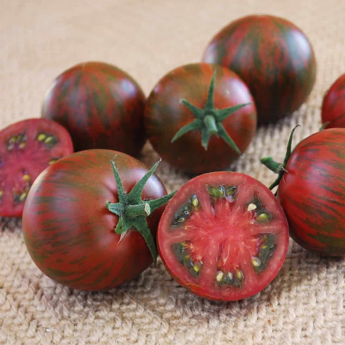 Tomato 'Purple Zebra'