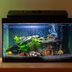 4 Tips on How To Raise the pH In an Aquarium