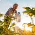 How To Water Your Vegetable Garden