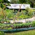 What To Know About a Permaculture Garden