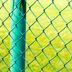 How To Paint a Chain Link Fence