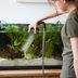 Tips on How To Clean Aquarium Sand