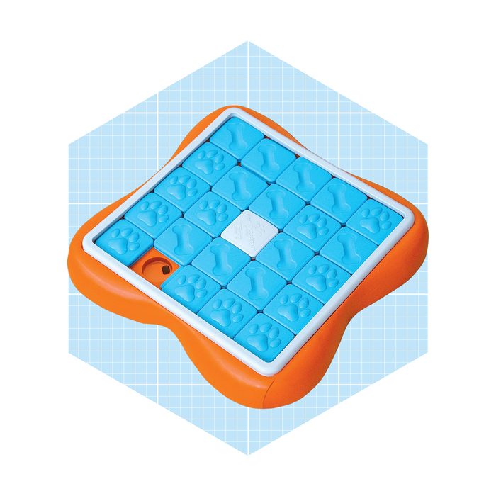 Interactive Treat Puzzle Dog Toy