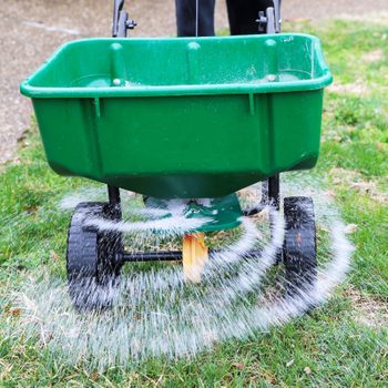 Lawn Fertilizer
