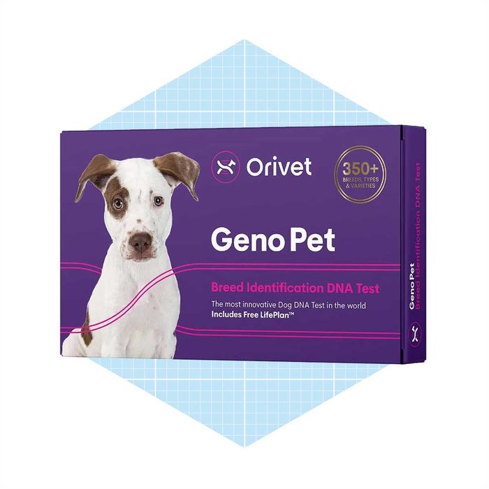 Orivet Genopet Dog Dna Test Ecomm Via Amazon