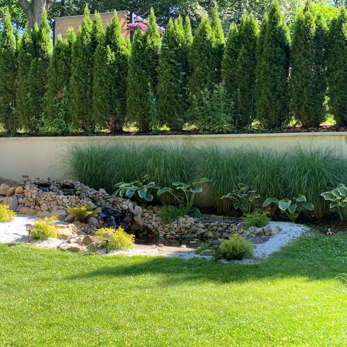 Shady Location Koi Pond