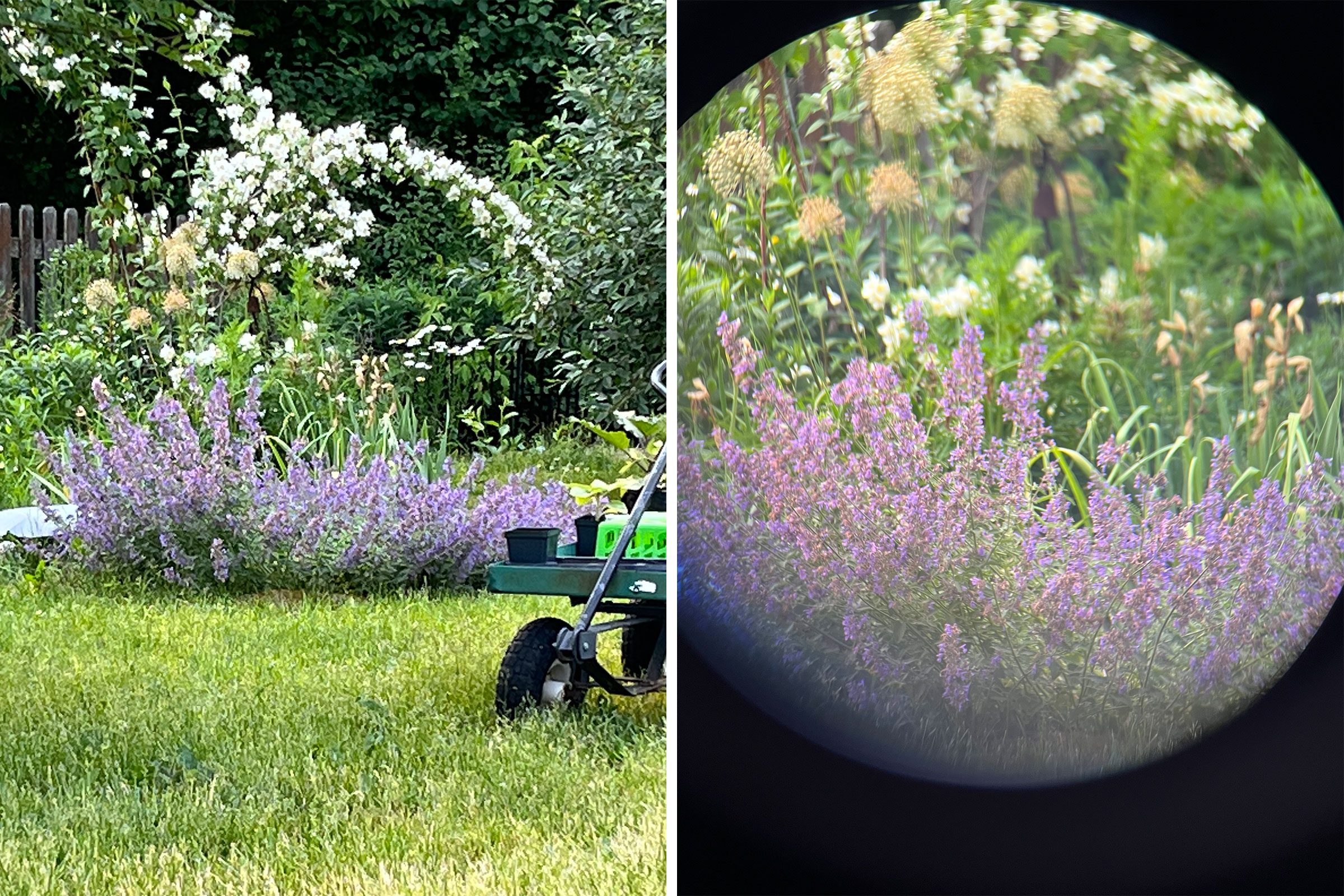 Split Screen Before And After Nocs Provisions Waterproof Binoculars