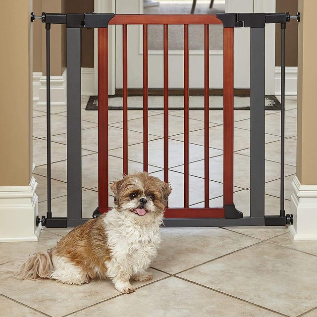 Steel Pet Gate