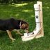 How to Make a DIY Automatic Dog Feeder