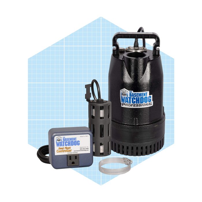 The Basement Watchdog Sit 50d