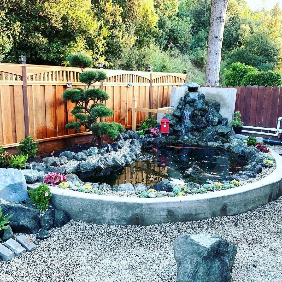 Waterfall Circulation Koi Pond Via Instagram