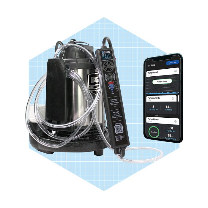 Wayne Basement Guardian Halo