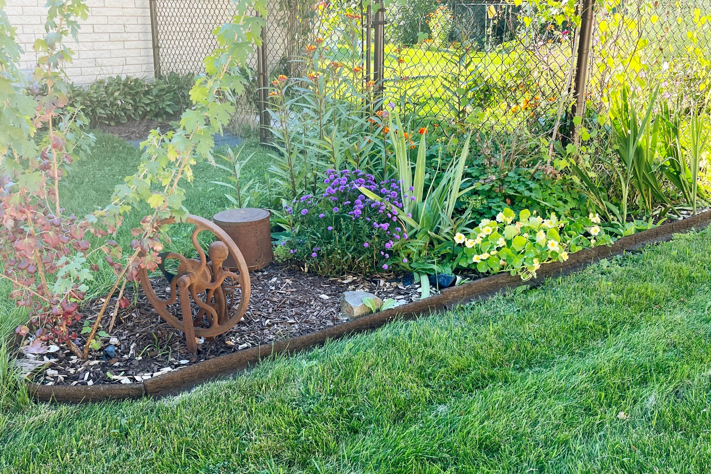Ecoborder Rubber Landscape Edging garden 4 years later