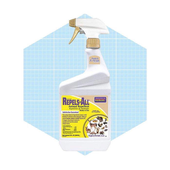 Bonide Repels All Animal Repellent