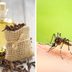 Make Your Own DIY Insect Repellent with Clove Oil