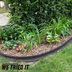 EcoBorder Rubber Landscape Edging Review: Is Rubber Lawn Edging Any Good?