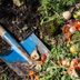 What Is Composting In Place and How Do You Do It?