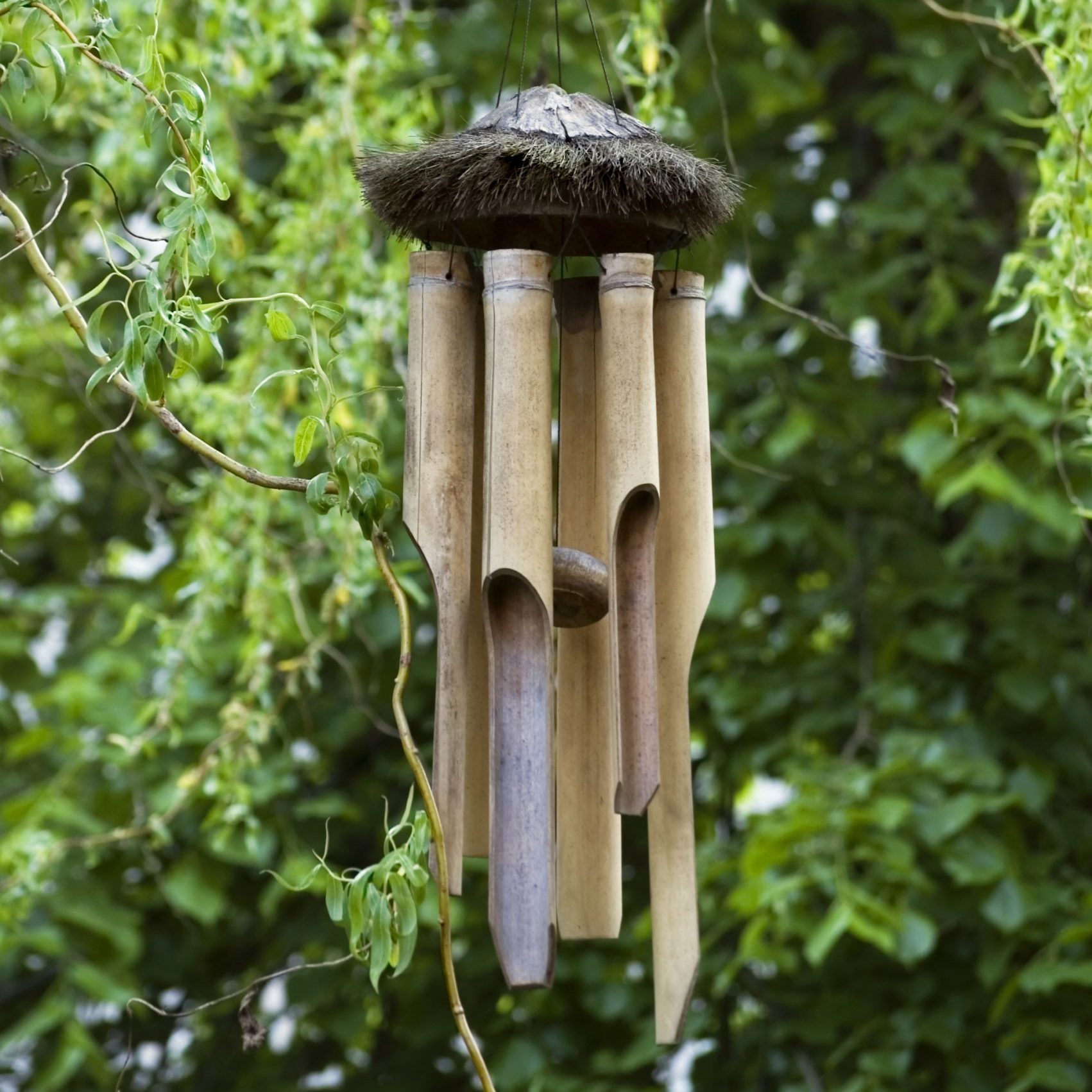 Wind chimes in backyard