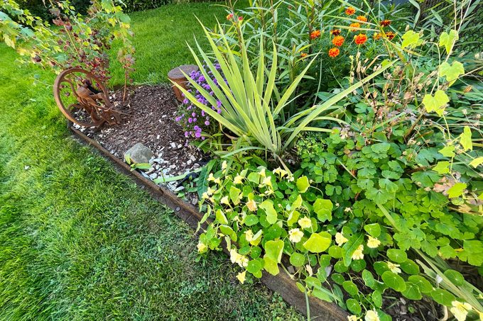 Img 34700 Rubber Garden Siding