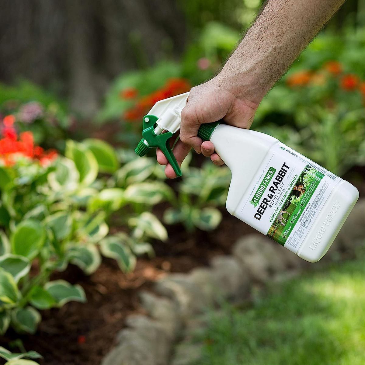 Liquid Fence Deer And Rabbit Repellent
